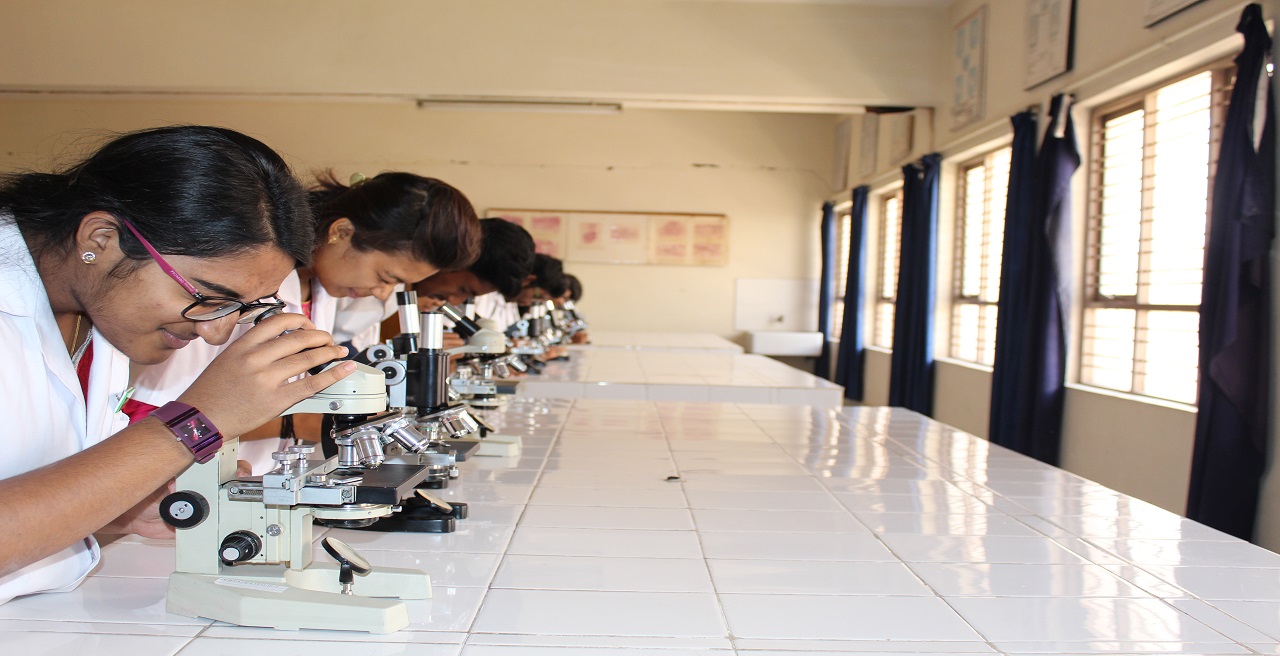 Faculty of Dentistry