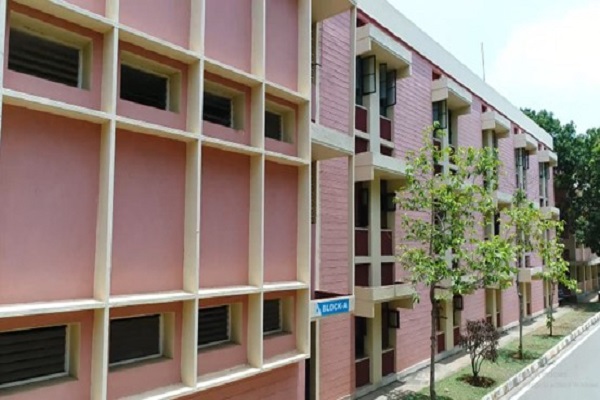 Health Services