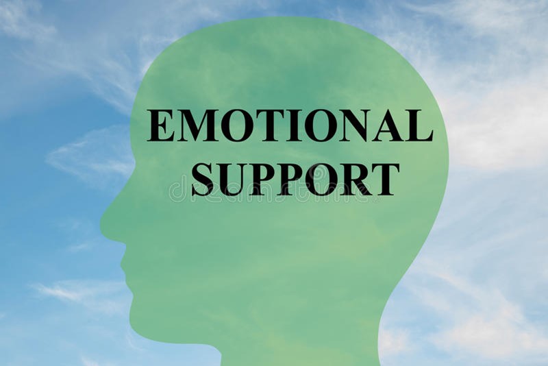 Emotional Assistance